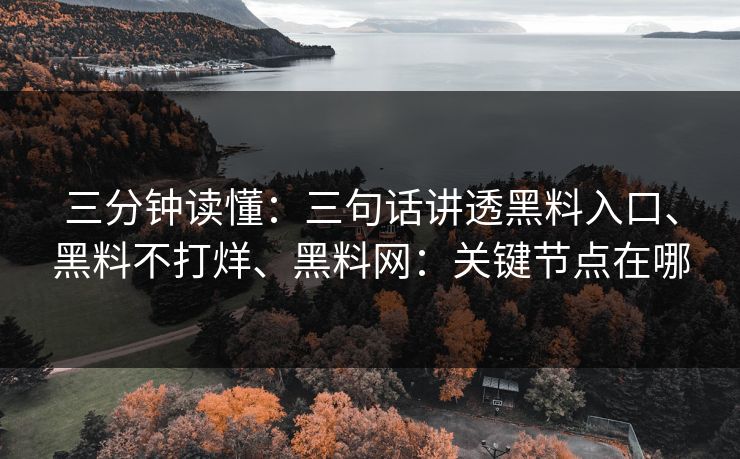 三分钟读懂：三句话讲透黑料入口、黑料不打烊、黑料网：关键节点在哪