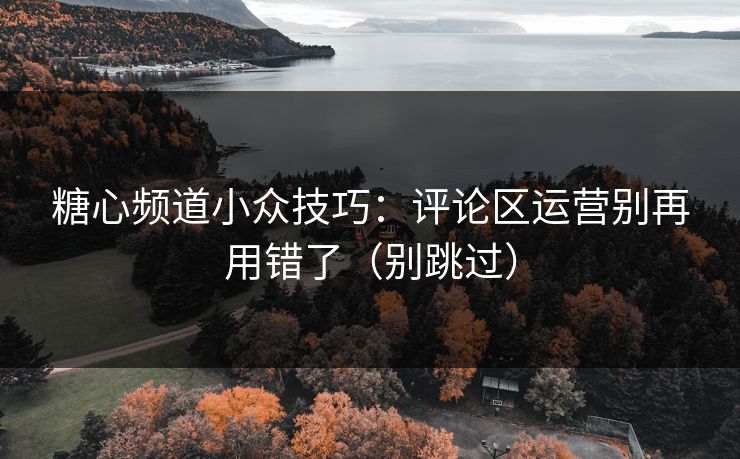 糖心频道小众技巧：评论区运营别再用错了（别跳过）