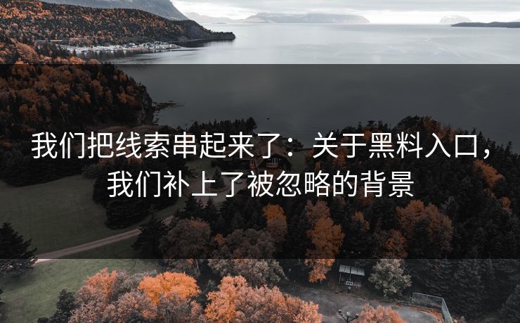 我们把线索串起来了：关于黑料入口，我们补上了被忽略的背景