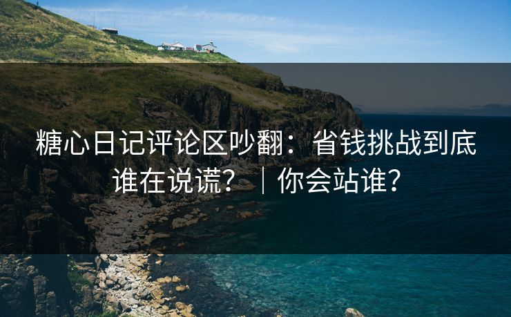 糖心日记评论区吵翻：省钱挑战到底谁在说谎？｜你会站谁？