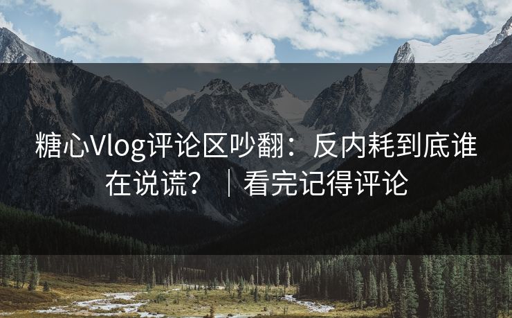 糖心Vlog评论区吵翻：反内耗到底谁在说谎？｜看完记得评论