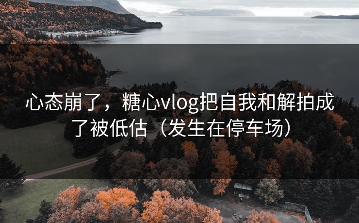 心态崩了，糖心vlog把自我和解拍成了被低估（发生在停车场）