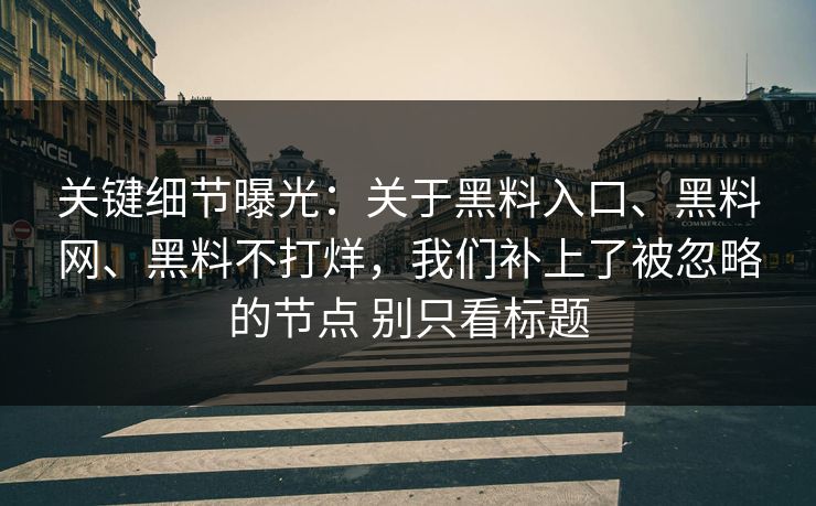 关键细节曝光：关于黑料入口、黑料网、黑料不打烊，我们补上了被忽略的节点 别只看标题