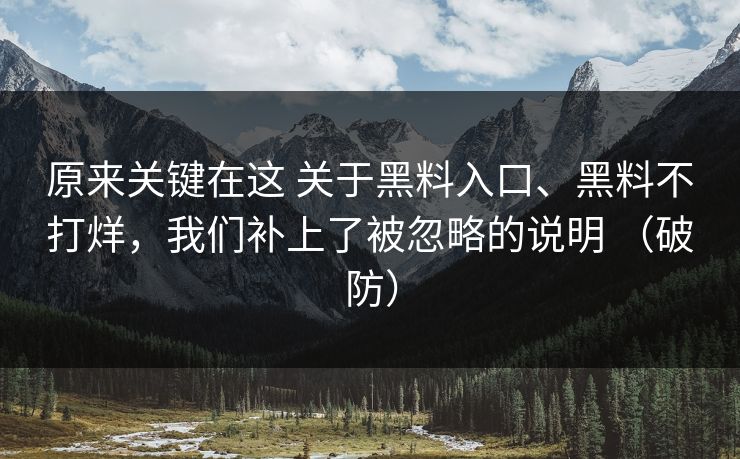 原来关键在这 关于黑料入口、黑料不打烊，我们补上了被忽略的说明 （破防）