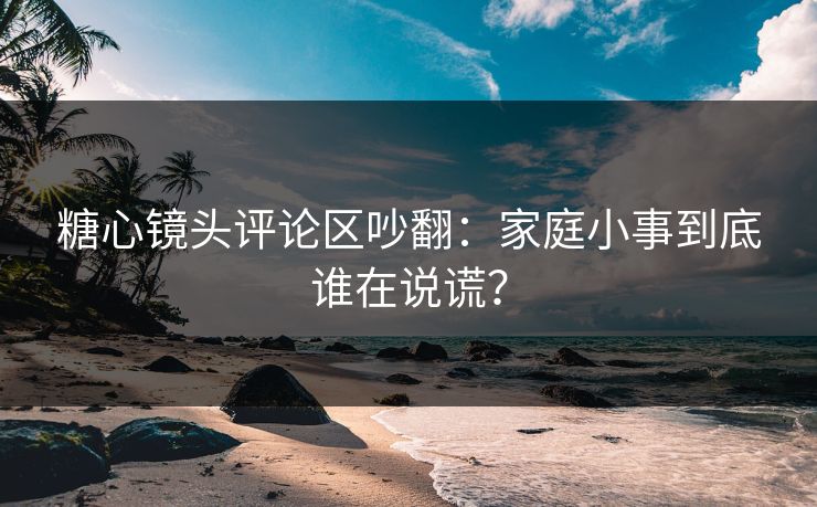 糖心镜头评论区吵翻：家庭小事到底谁在说谎？