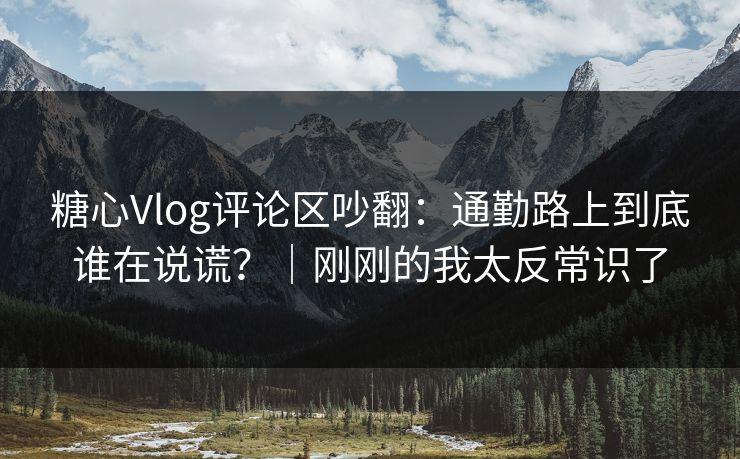 糖心Vlog评论区吵翻：通勤路上到底谁在说谎？｜刚刚的我太反常识了