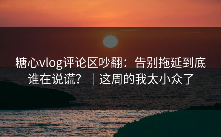 糖心vlog评论区吵翻：告别拖延到底谁在说谎？｜这周的我太小众了