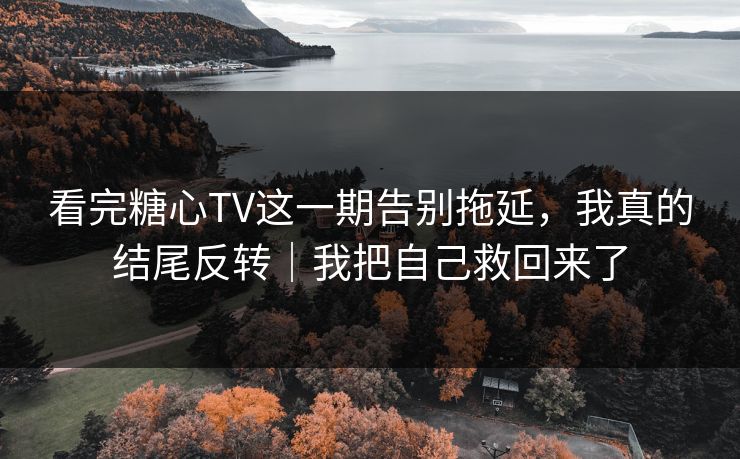 看完糖心TV这一期告别拖延，我真的结尾反转｜我把自己救回来了