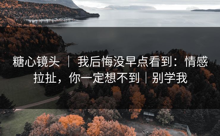 糖心镜头 ｜ 我后悔没早点看到：情感拉扯，你一定想不到｜别学我