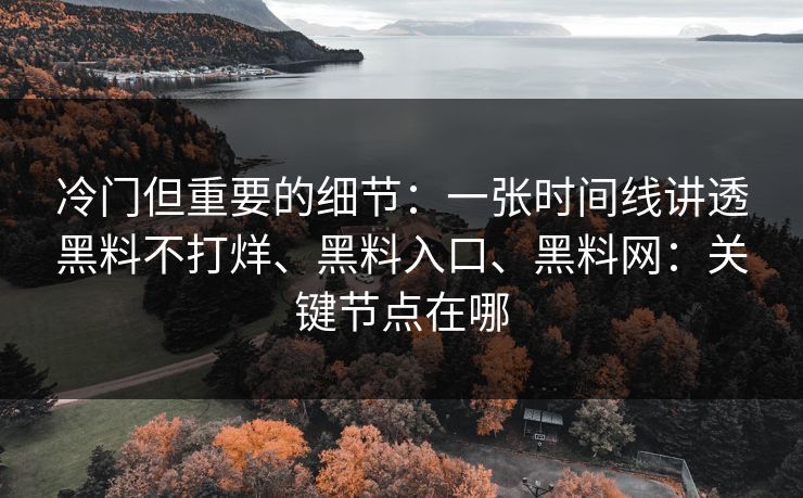 冷门但重要的细节：一张时间线讲透黑料不打烊、黑料入口、黑料网：关键节点在哪