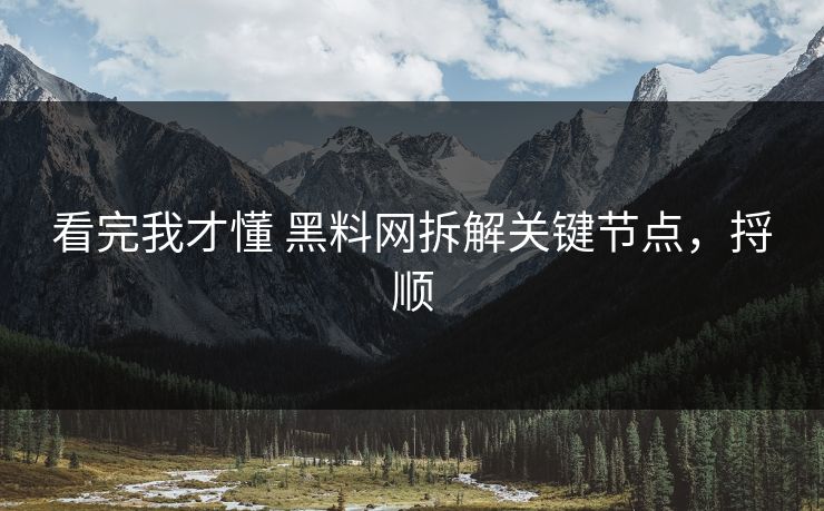 看完我才懂 黑料网拆解关键节点，捋顺